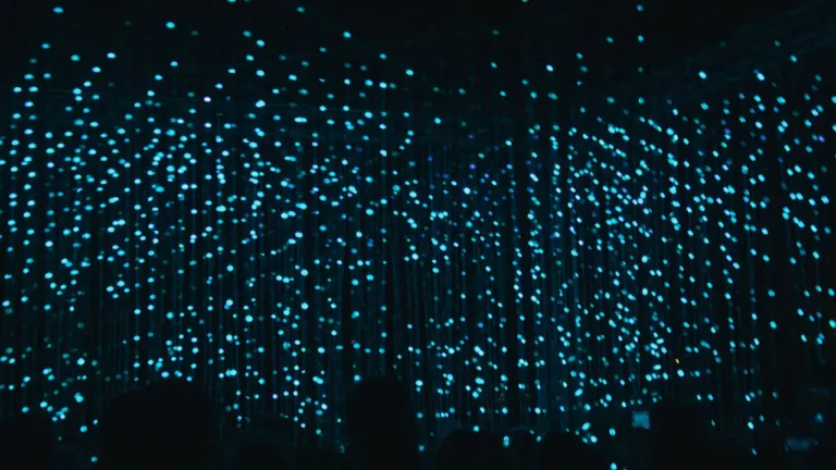 Light Night Leeds moves to half term for two free nights