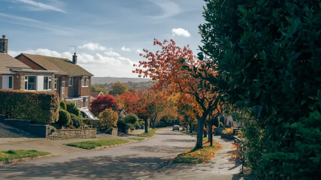 A quiet suburban street in Sheffield with colourful autumn leaves on trees.