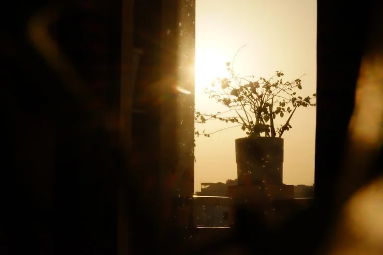 Morning Daylight for Alertness as Days Begin to Shorten