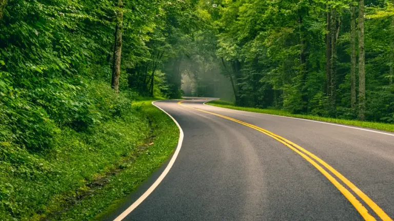 North Cumberland drivers can challenge 22 road plans