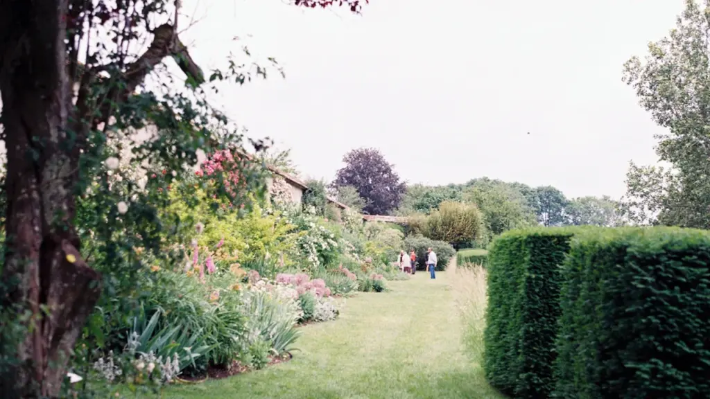 Lush green garden path in the UK during late summer.