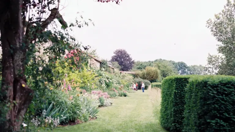 Prepare Your Garden for the Late August Temperature Shift
