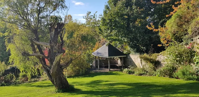 Prepare Your Garden for the Late August Temperature Shift