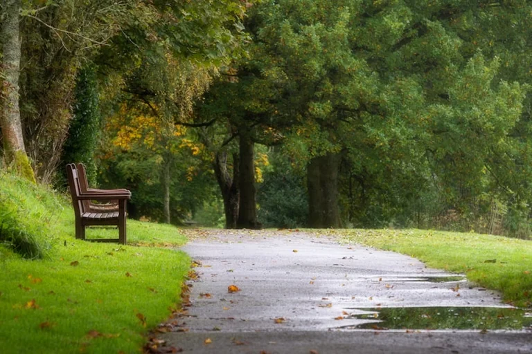 UK picnic on 16 August: check rain, sunset and food safety