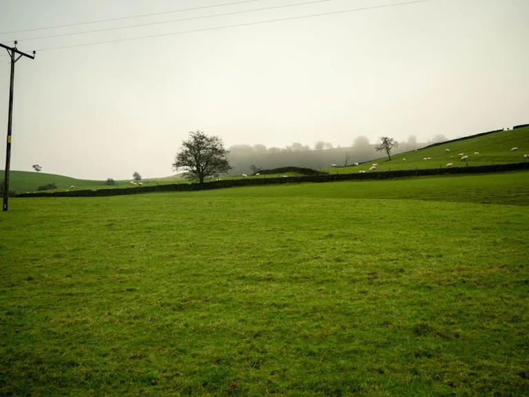 UK picnic on 16 August: check rain, sunset and food safety