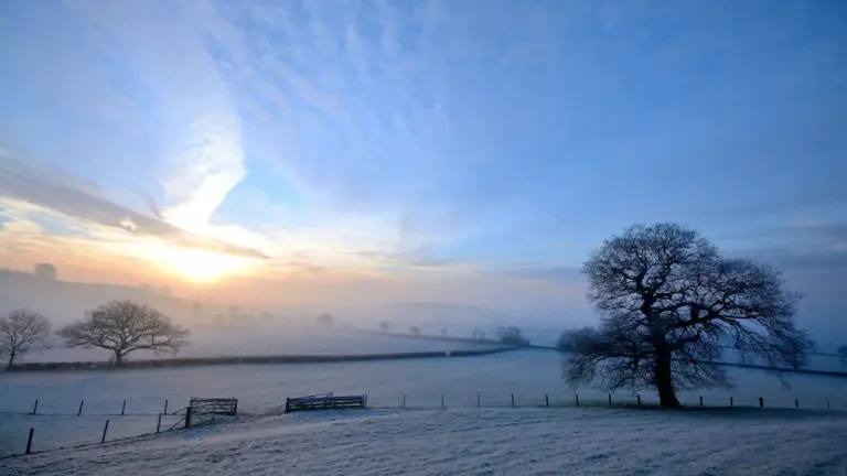 UK Winter Bank Holiday: Will It Be Announced by 31 December?