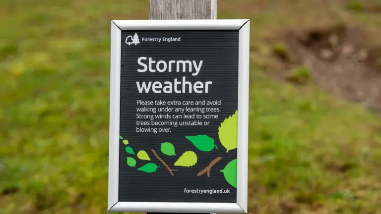 Forestry England sign warning of stormy weather and unstable trees in the UK.