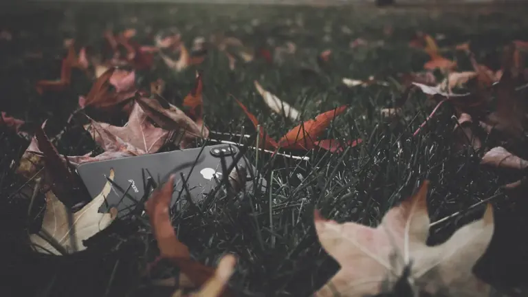 Dreaming of a Lost Bag or Phone: Control and Everyday Anxiety
