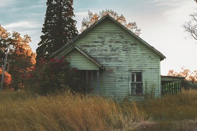 Dreams About an Old House: Memory and Change