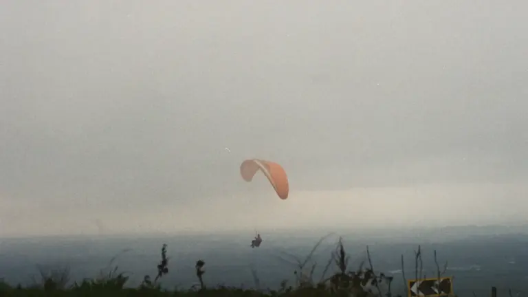 Dreams About Flying: Freedom, Fear and Control