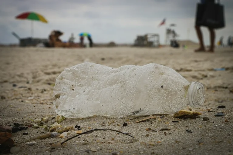 Great British Beach Clean: What to Bring and Record Safely