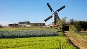 Traditional wooden windmill in a rural English landscape during a sunny spring day.