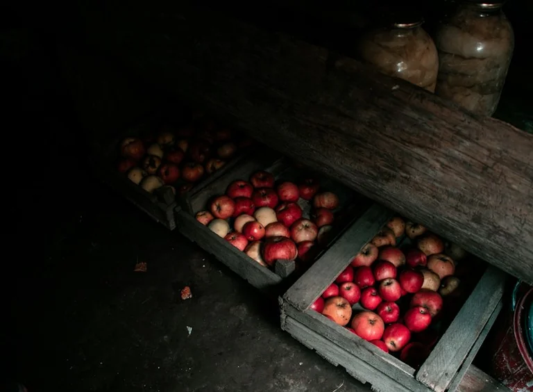 How to Store Apples and Pears After an Autumn Shop