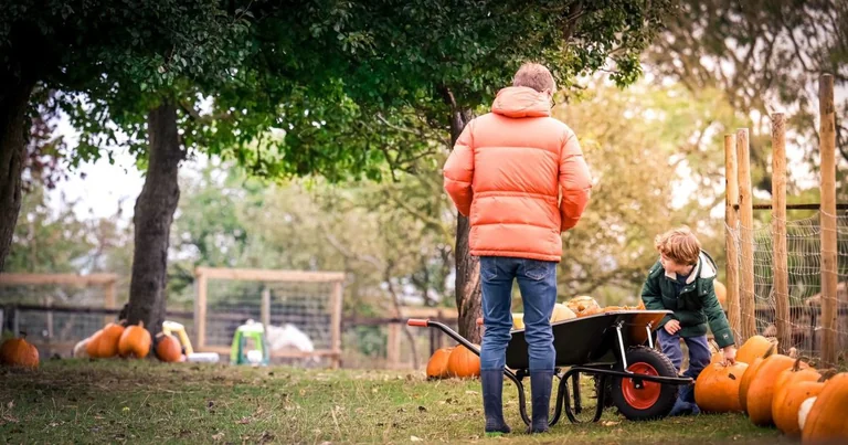 Lancashire pumpkin picking: 9 events from October 2
