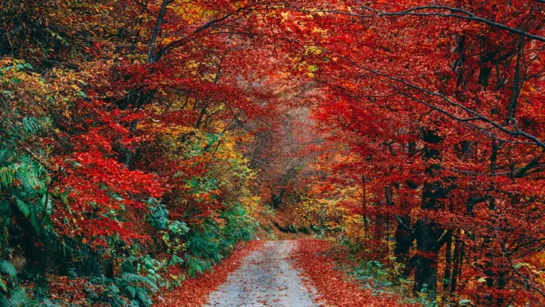September 12th: Finding Balance in a Changing Season