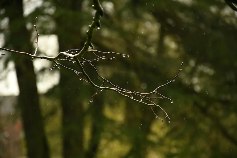 UK Weather: Warm South and Rain Moving North for Tuesday 22 September