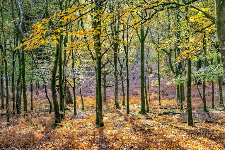 Why the 2026 Autumn Equinox Matters in Britain
