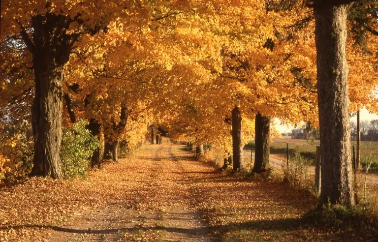 Why UK Day and Night Are Nearly Equal at the Autumn Equinox