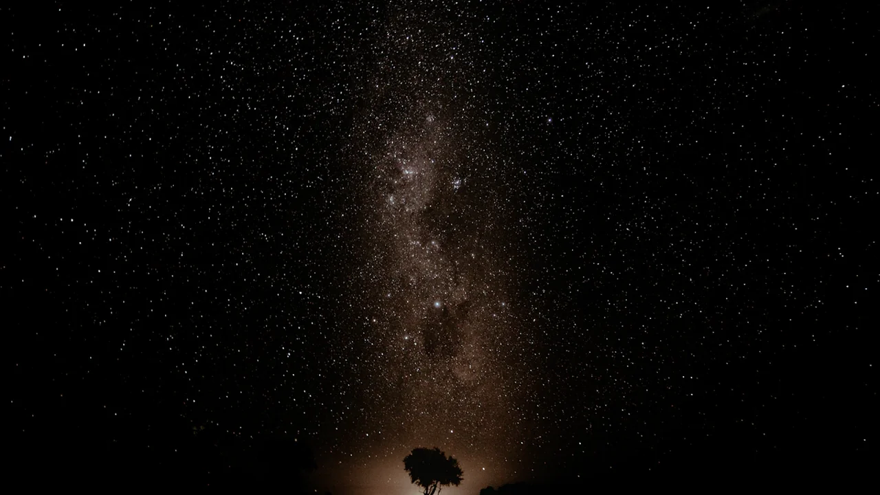 A solitary tree silhouetted against a vast, star-filled night sky.