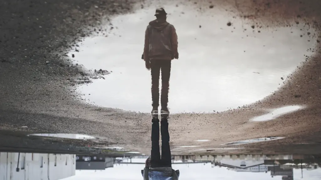 Dreaming About Water: How the Setting Shapes Reflection