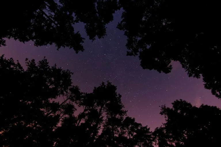 Saturday horoscope for 3 October: a slower evening for every sign